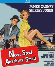 Picture of NEVER STEAL ANYTHING SMALL (1959)