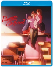 Picture of DOMESTIC GIRLFRIEND