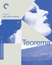 Picture of TEOREMA BD