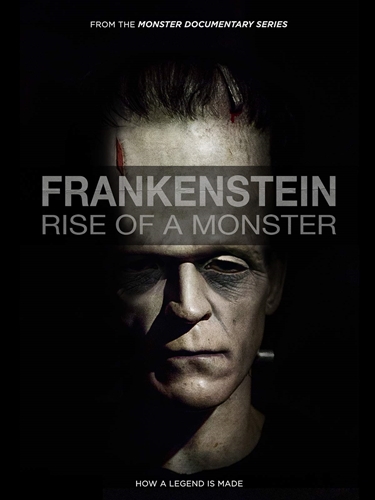 Picture of FRANKENSTEIN: RISE OF A MONSTER