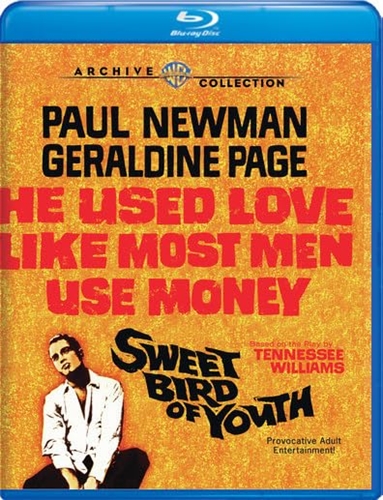 Picture of SWEET BIRD OF YOUTH (1962)