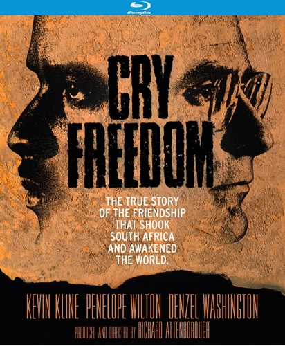 Picture of CRY FREEDOM (1987)