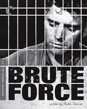 Picture of BRUTE FORCE BD