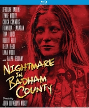 Picture of NIGHTMARE IN BADHAM COUNTY (1976)