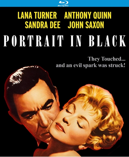 Picture of PORTRAIT IN BLACK (1960)