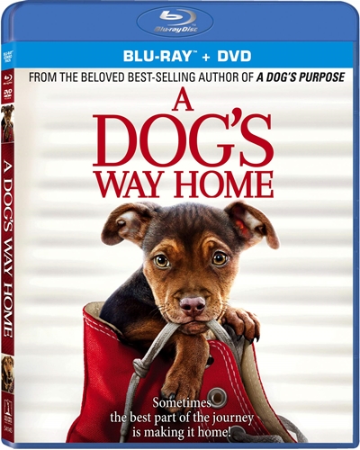 Picture of DOG'S WAY HOME