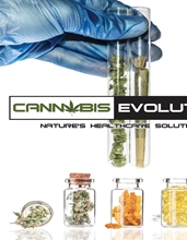 Picture of CANNABIS EVOLUTION