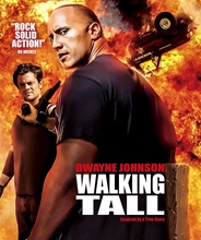 Picture of WALKING TALL (2004)