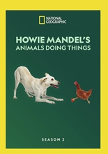 Picture of HOWIE MANDEL'S ANIMALS DOING THINGS: SEASON 2