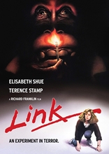 Picture of LINK (1986)