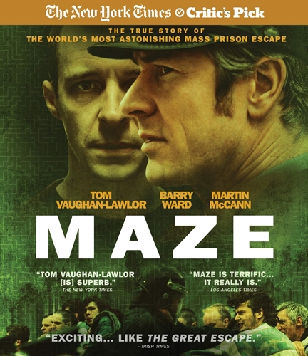 Picture of MAZE