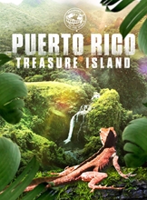 Picture of PUERTO RICO: TREASURE ISLAND