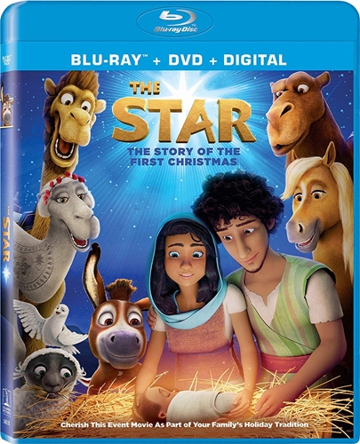 Picture of STAR (2017)