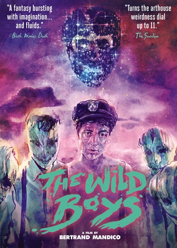 Picture of WILD BOYS