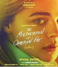 Picture of MISEDUCATION OF CAMERON POST