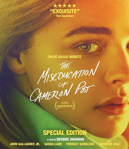 Picture of MISEDUCATION OF CAMERON POST