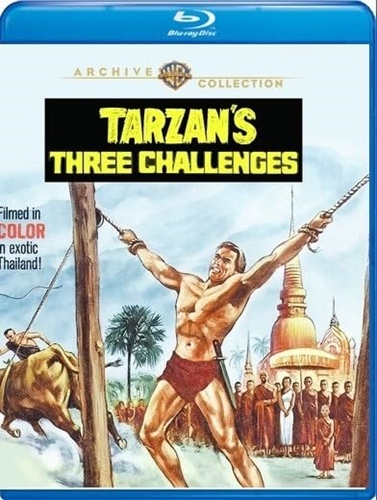 Picture of TARZAN'S THREE CHALLENGES (1963)