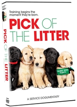 Picture of PICK OF THE LITTER