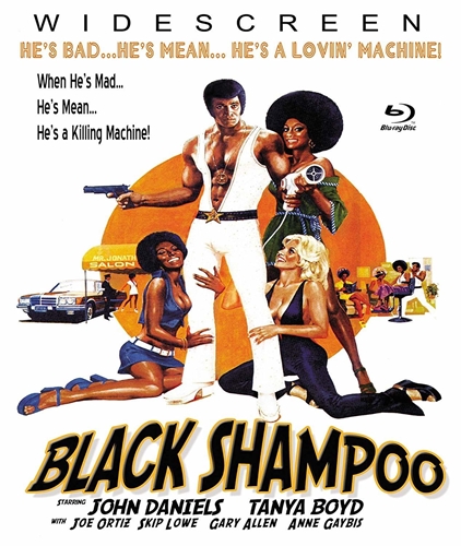 Picture of BLACK SHAMPOO