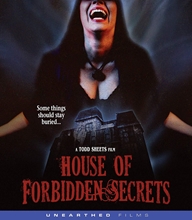 Picture of HOUSE OF FORBIDDEN SECRETS