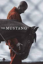 Picture of MUSTANG