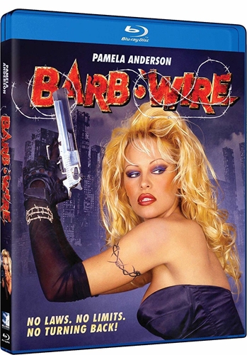 Picture of BARB WIRE BD