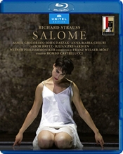 Picture of SALOME