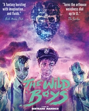 Picture of WILD BOYS