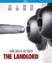 Picture of LANDLORD (1970)