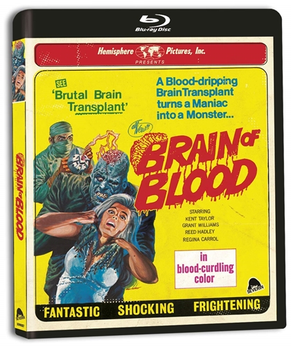 Picture of BRAIN OF BLOOD