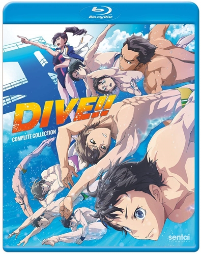 Picture of DIVE