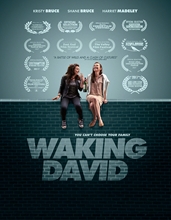 Picture of Waking David