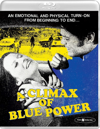 Picture of CLIMAX OF BLUE POWER