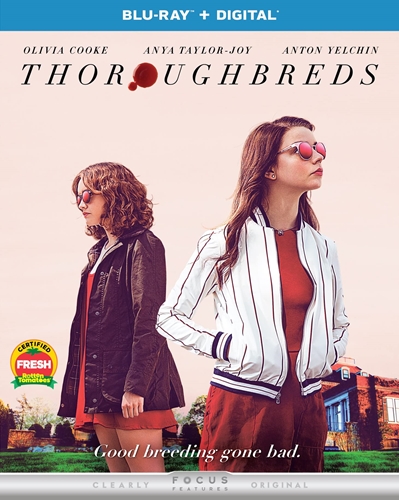 Picture of THOROUGHBREDS