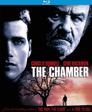 Picture of CHAMBER (1996)