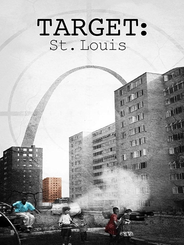 Picture of Target: St. Louis