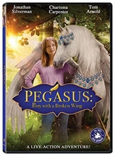 Picture of PEGASUS: PONY WITH A BROKEN WING