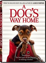 Picture of DOG'S WAY HOME