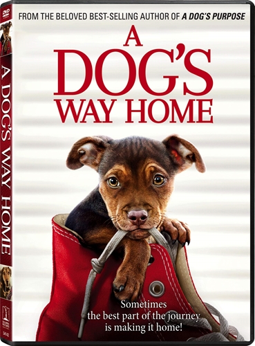 Picture of DOG'S WAY HOME