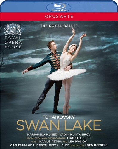 Picture of SWAN LAKE