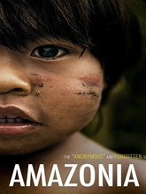 Picture of Amazonia Inc.