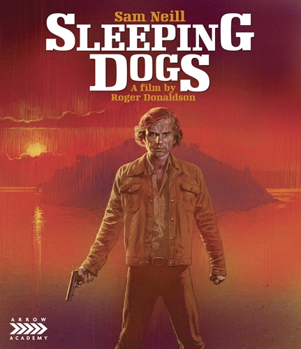 Picture of SLEEPING DOGS