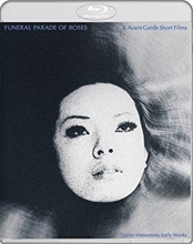 Picture of FUNERAL PARADE OF ROSES