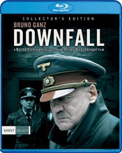 Picture of DOWNFALL