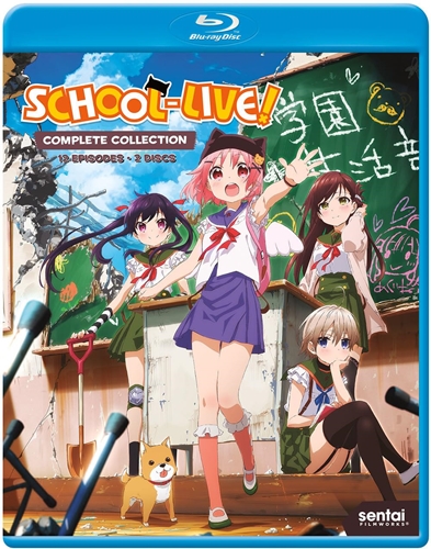 Picture of SCHOOL-LIVE