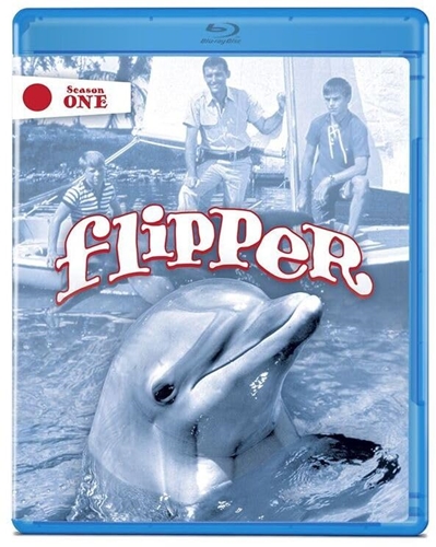 Picture of FLIPPER SEASON 1