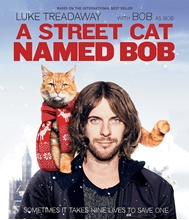 Picture of STREET CAT NAMED BOB