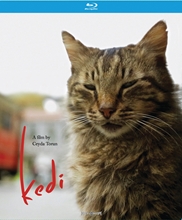 Picture of KEDI