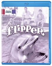 Picture of FLIPPER SEASON 3