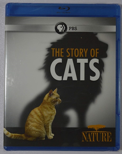 Picture of NATURE: THE STORY OF CATS